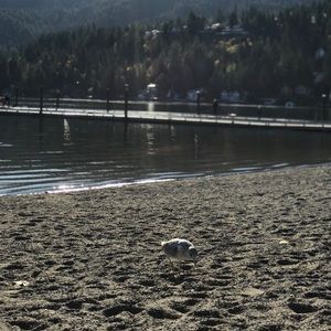 Meet your Posher, Lynne